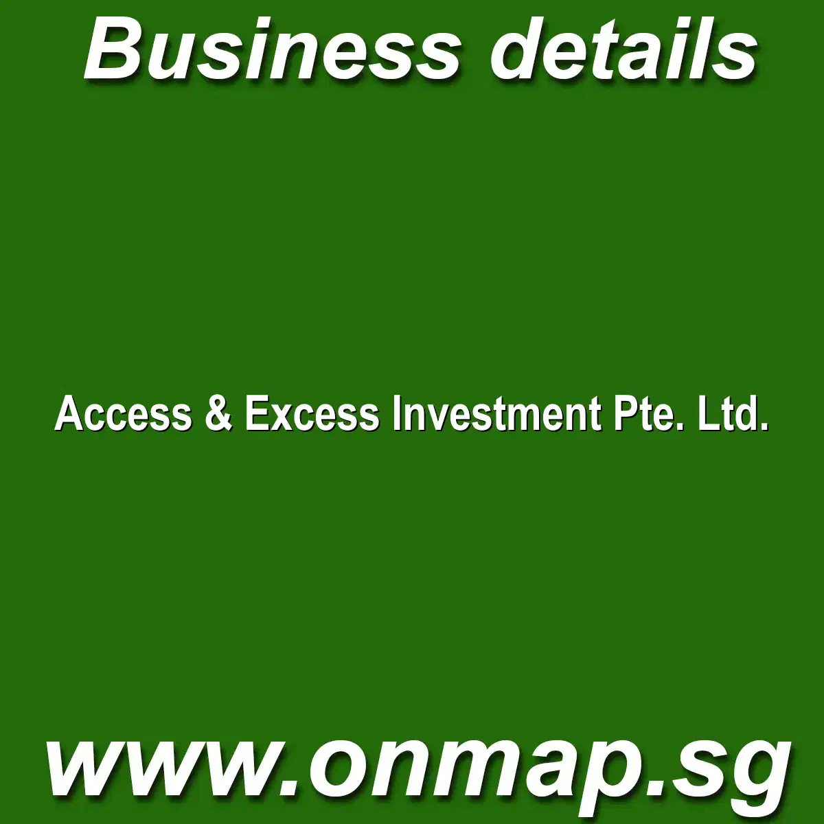 Access & Excess Investment Pte. Ltd.
